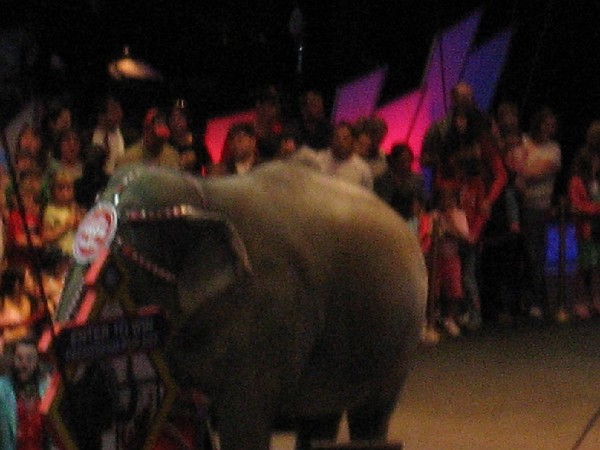 june08 004.jpg